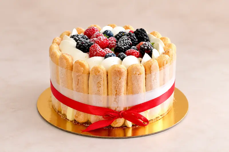 Berry charlotte cake with ladyfingers, fresh berries and a red ribbon